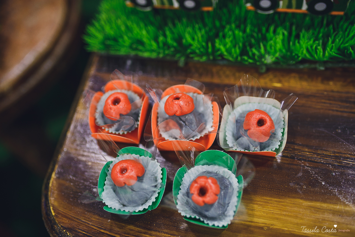 tassila costa, tassila costa fotografia, tassila costa fotografa, tassila foto, fotografia, vila velha, vitoria, vix, es, aniversario, aniversario infantil, festa infantil, festa de menino, 09 anos, festa, festa em vila velha, tema dinossauros, festa no s