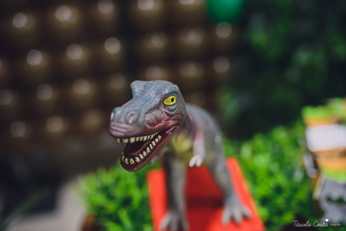 tassila costa, tassila costa fotografia, tassila costa fotografa, tassila foto, fotografia, vila velha, vitoria, vix, es, aniversario, aniversario infantil, festa infantil, festa de menino, 09 anos, festa, festa em vila velha, tema dinossauros, festa no s