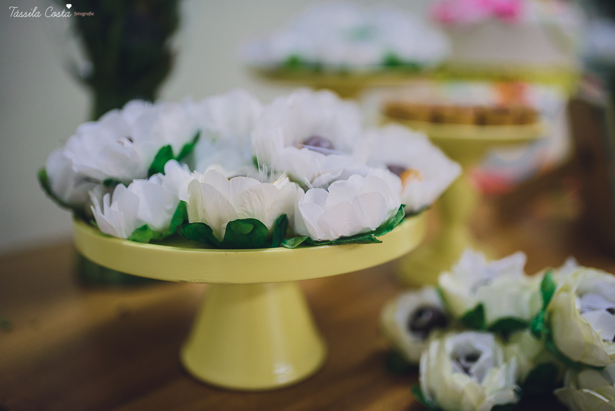 foto no espirito santo, fotografo em vitoria,  fotografia em vitoria, fotografo em vila velha, fotos em vila velha, tassilacfotografia, tassilafoto, fotografia de familia, fotografa de familia em vila velha, fotos, fotografando, tassila costa, tassila cos