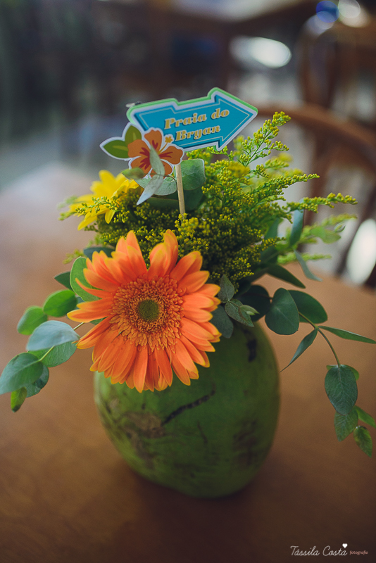 tássilafoto, bryan1ano, festainfanti, aniversarioinfantil, 01ano, festainfantiles, aniverdecriança, festademenino, vilavelha