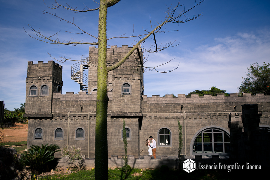 castelo-medieval-vinhedo