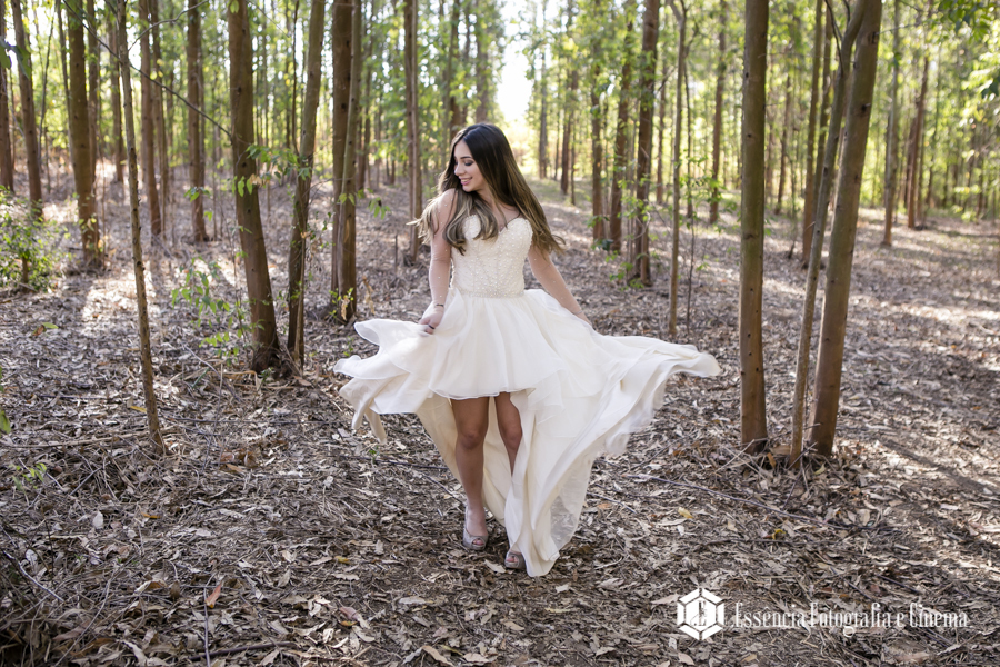 eucaliptos-para-fotografar