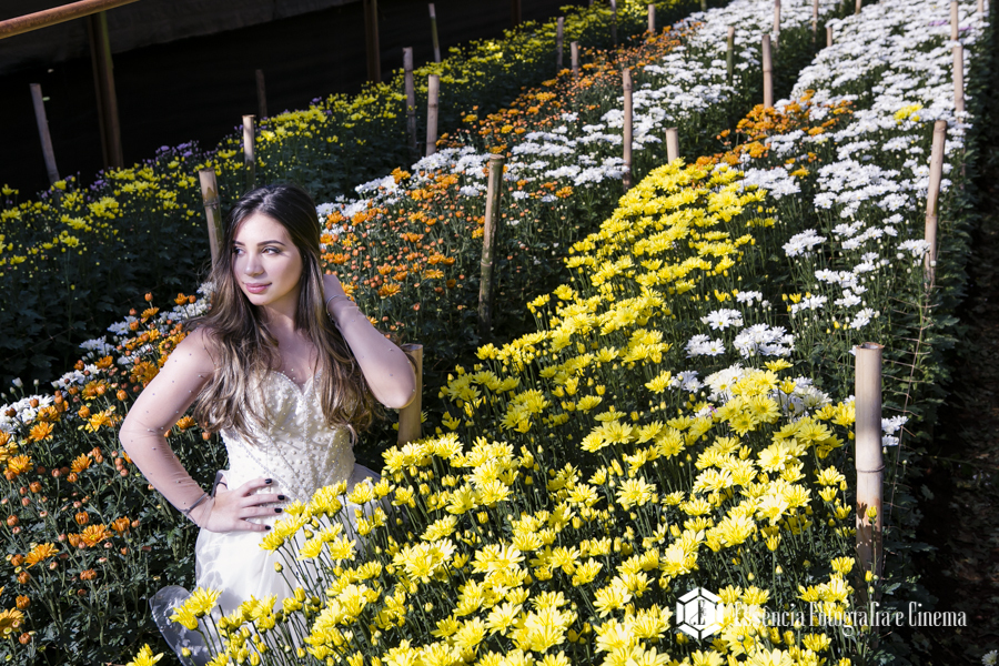 aniversario-de-15-anos