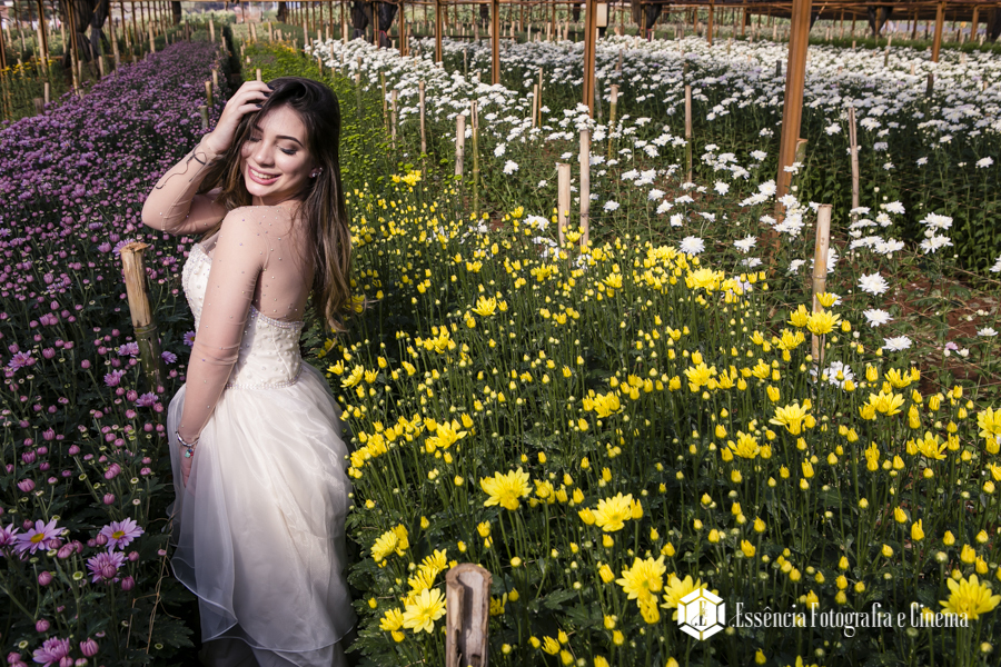 fotografar-em-holambra