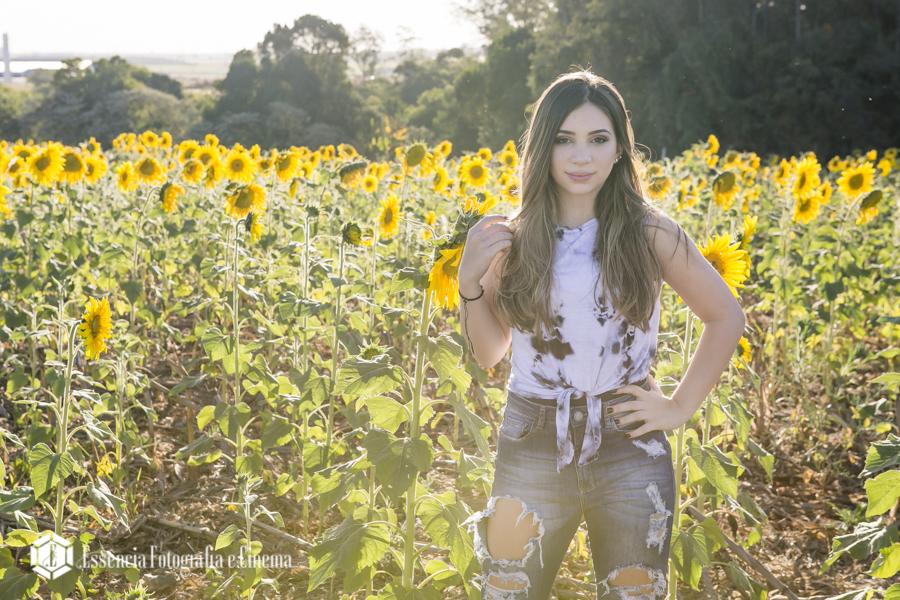 essencia-fotografia-e-cinema