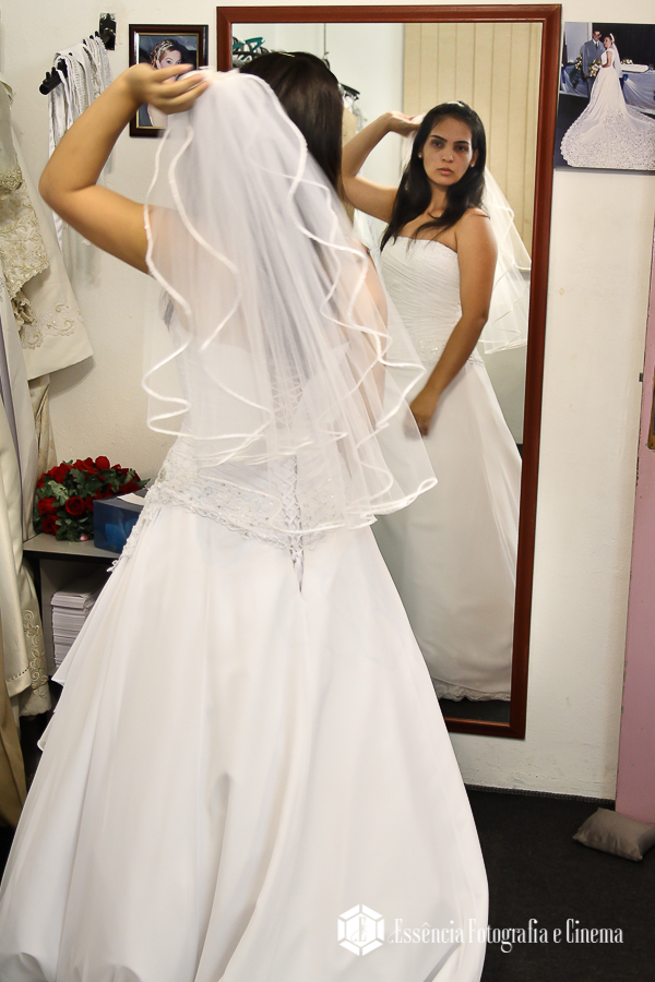 a-noiva-e-seu-véu
