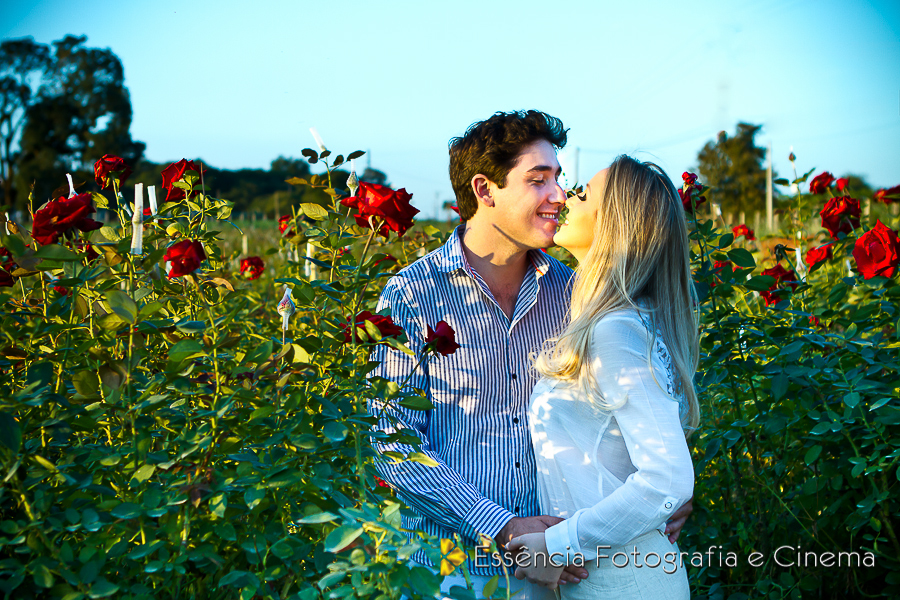 fotos-nas-rosas