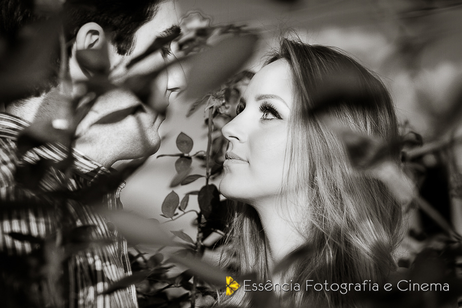 pre-wedding-em-holambra