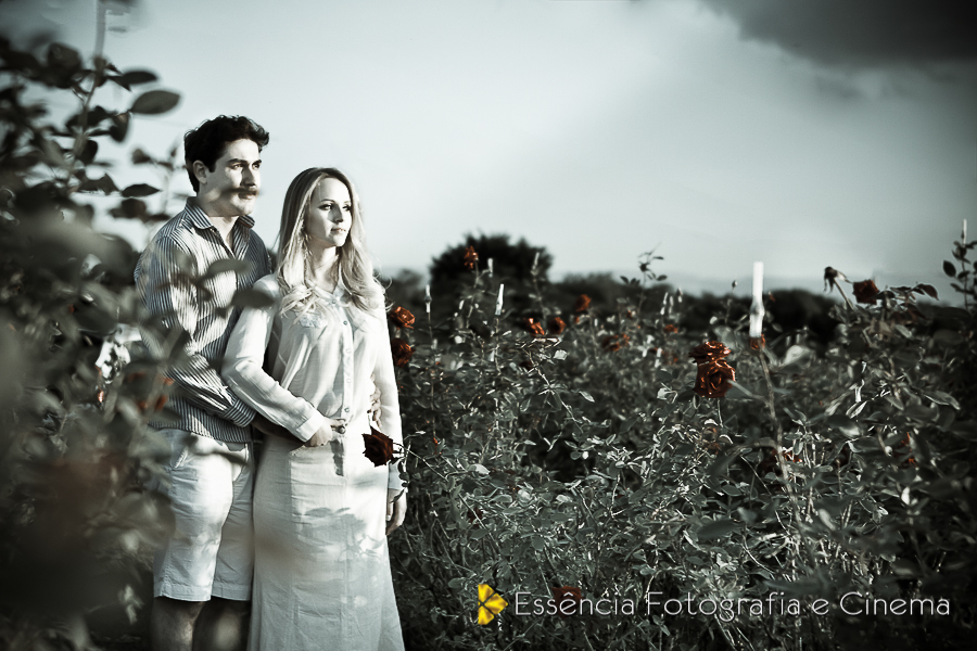 pre-casamento-em-holambra