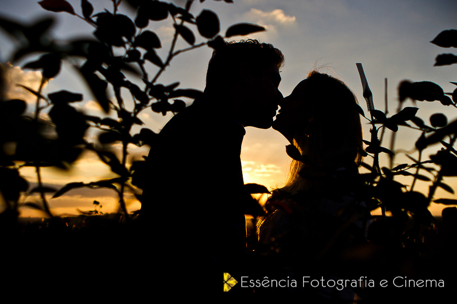 local-para-casar-em-holambra