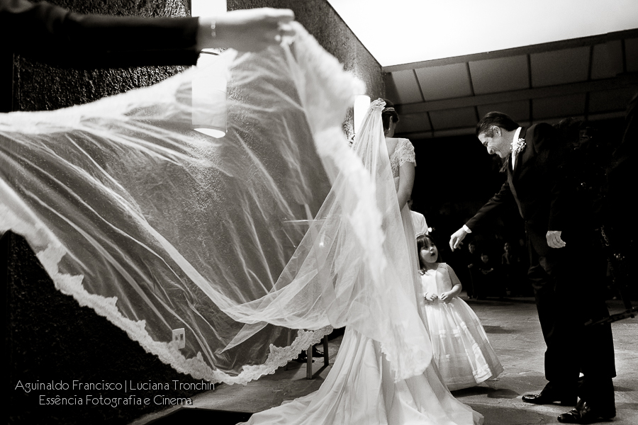 daminhas-e-veu-da-noiva