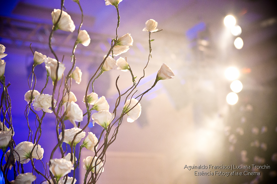 arvore-seca-para-casamento