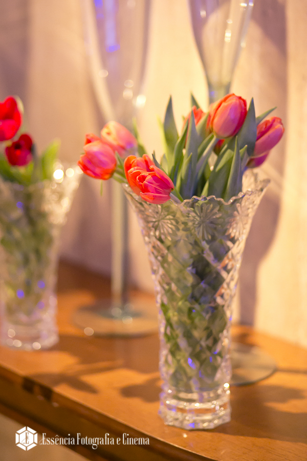 os-arranjos-de-aldo-silvestre