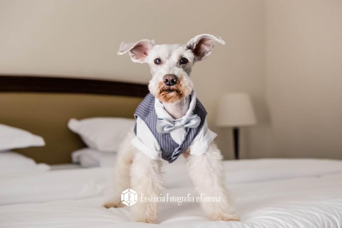 cachorro-com-as-aliancas