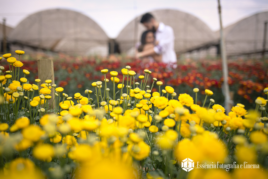 ensaio-antes-do-casamento