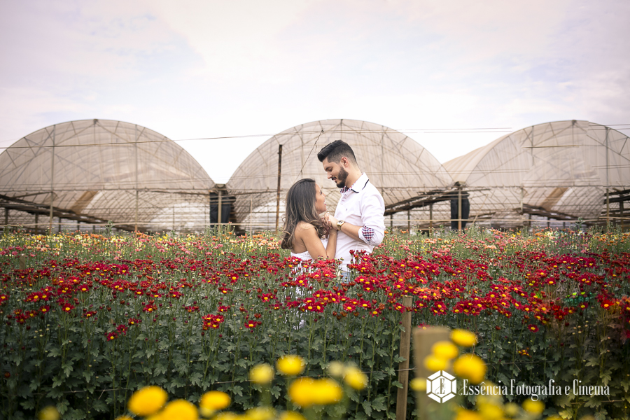 noivos-antes-de-casar