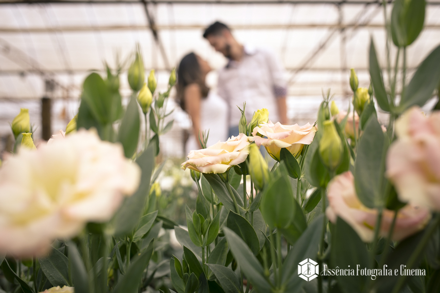 fotografo-de-casamento-em-Holambra
