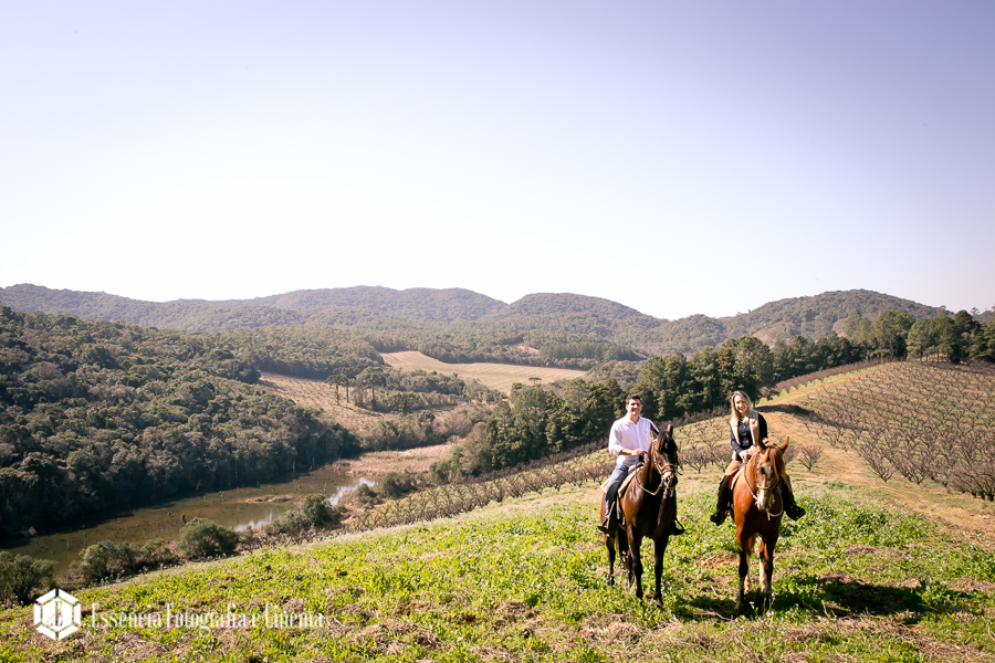 cavalos-no-casamento