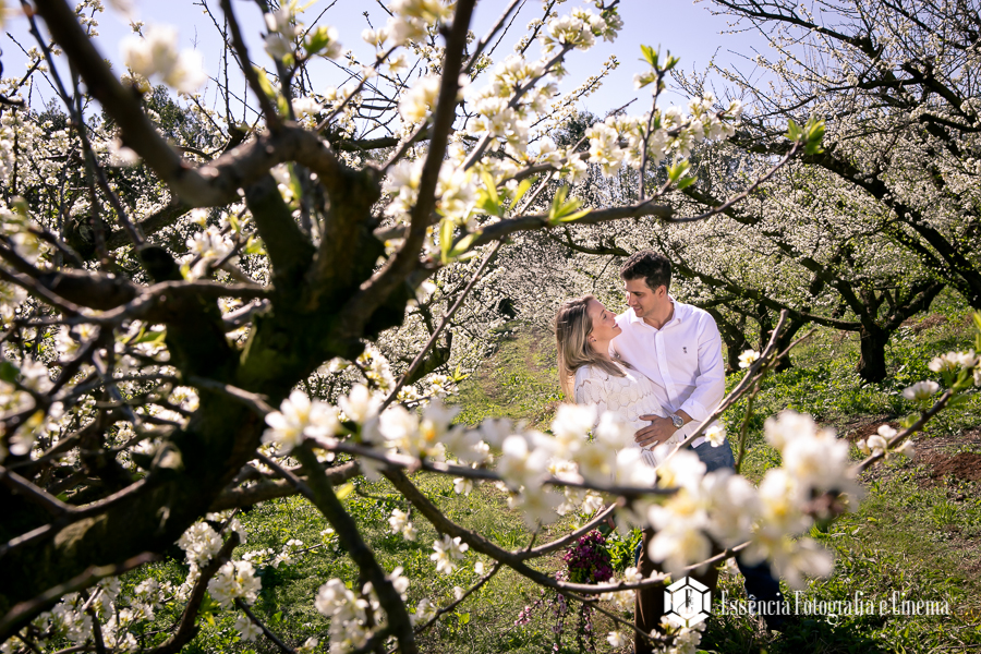 ensaio-de-noivos-em-plantação