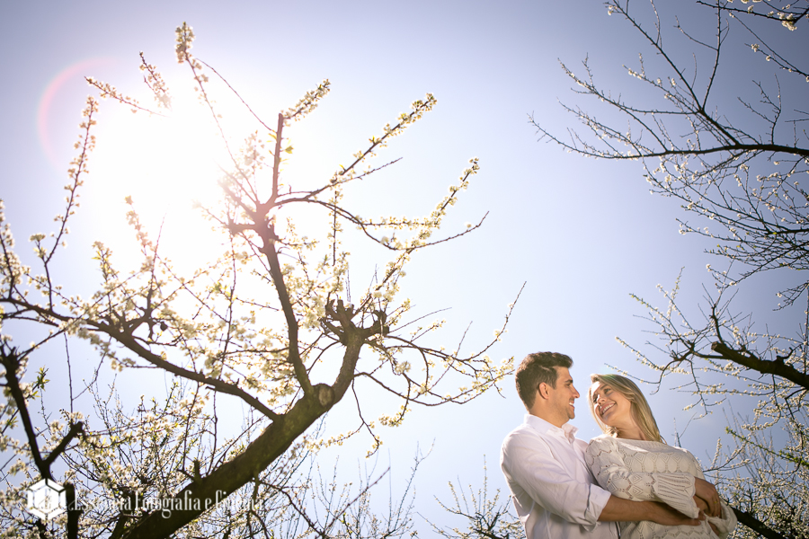 casamento-com-fazenda-e-cavalos
