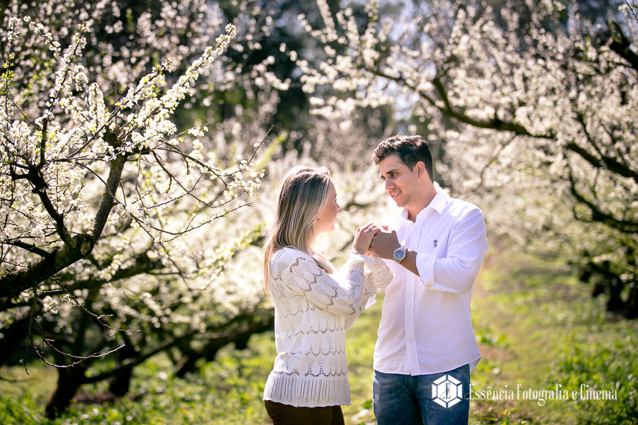 noivos-em-fazenda-com-cavalos