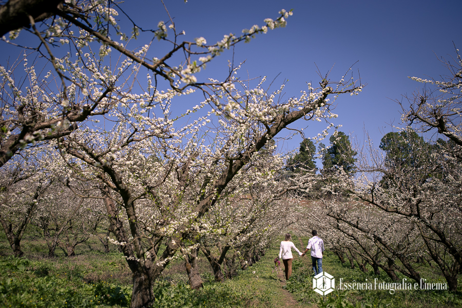 filmagem-de-casamento-no-campo