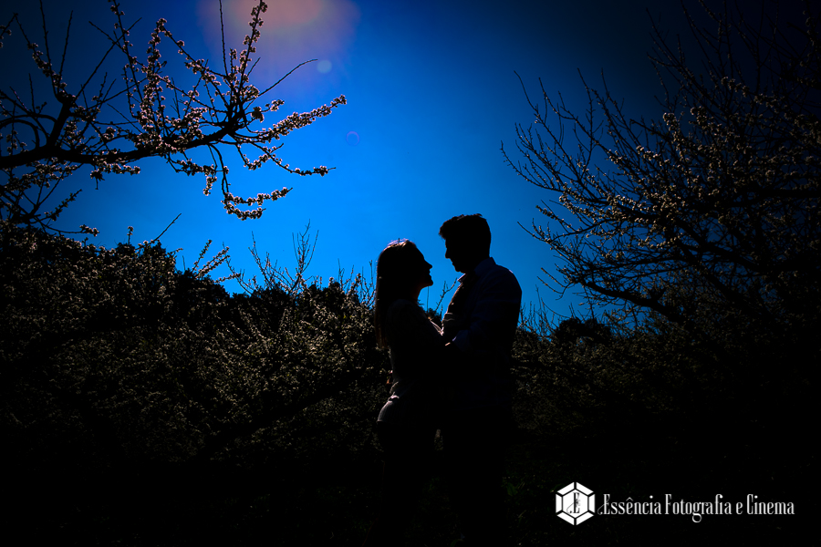 foto-vídeo-fotografia-filme--fotografo-filmagem-film-cinema-Campinas