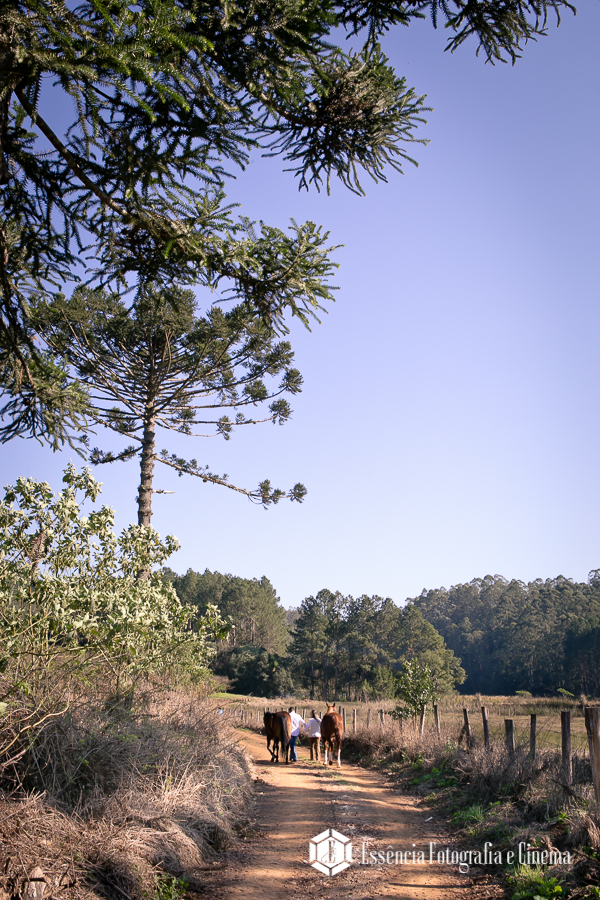 fotografia-e-vídeo-com-cavalos