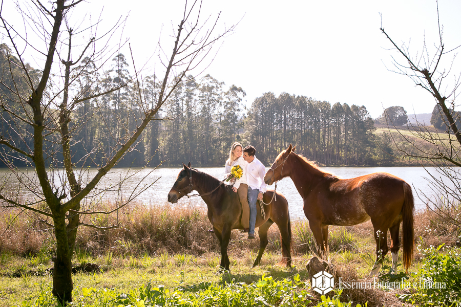 cavalos-e-noivos