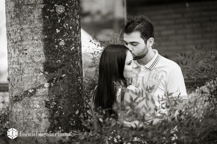 fotos-artísticas-e-autoral