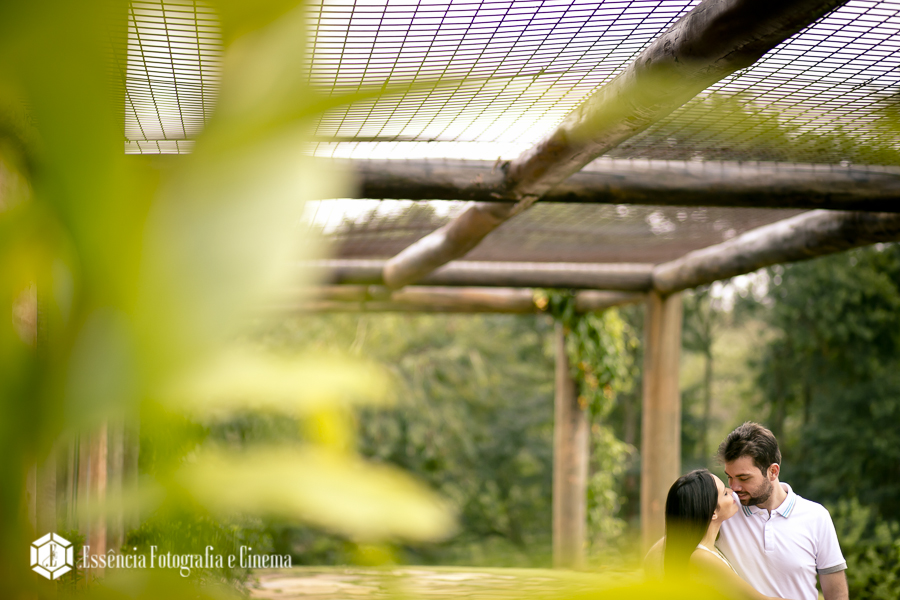 preciso-de-fotografo