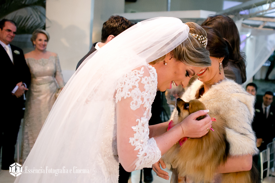 cachorros-entraram-com-as-alianças