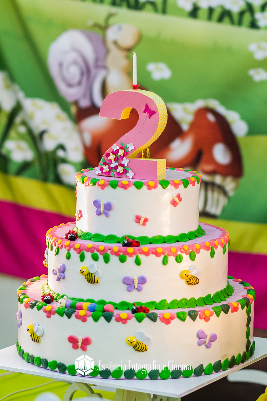 fotografo-para-festa