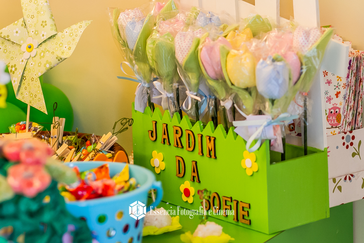 fotos-festa-de-aniversario