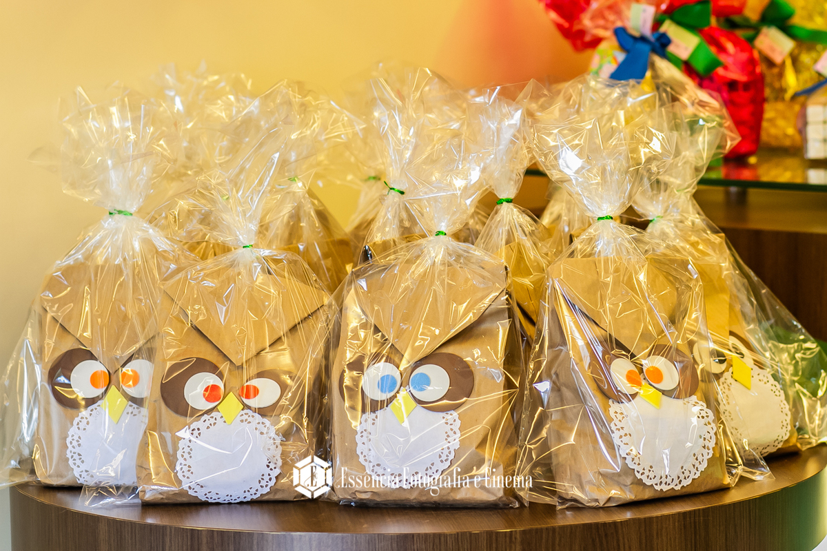 fotografo-festa-de-aniversario