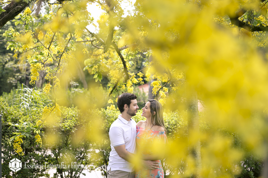 Alameda-Antônio-Ambiel-817-Helvetia-Indaiatuba-SP