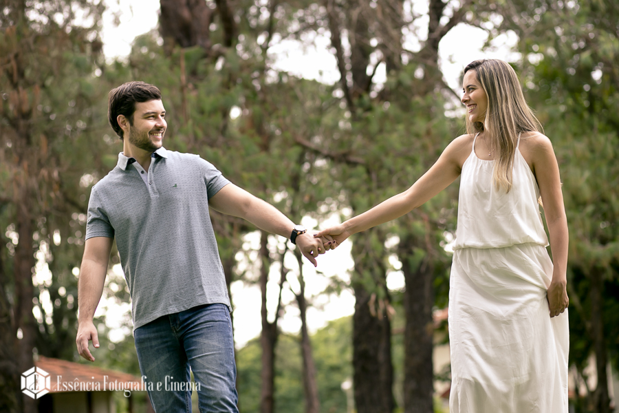 colônia-Suíça-no-Brasil