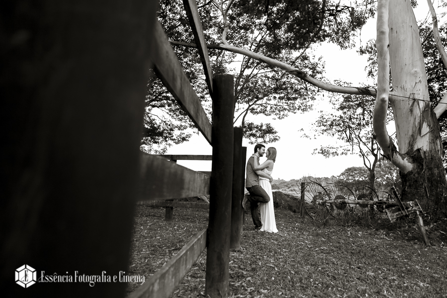 Buffet-Helvetia-fotografo