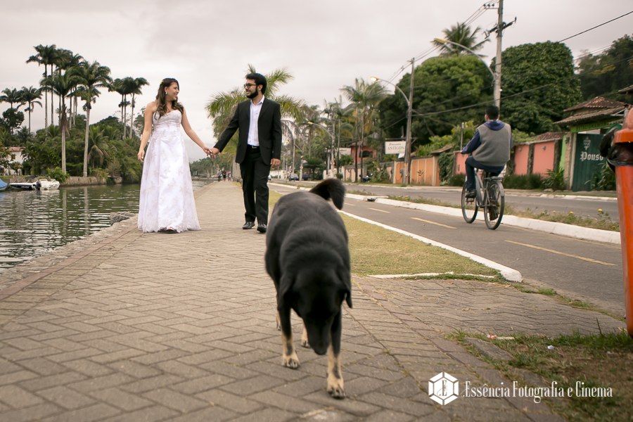 cachorro-participa-de-ensaio