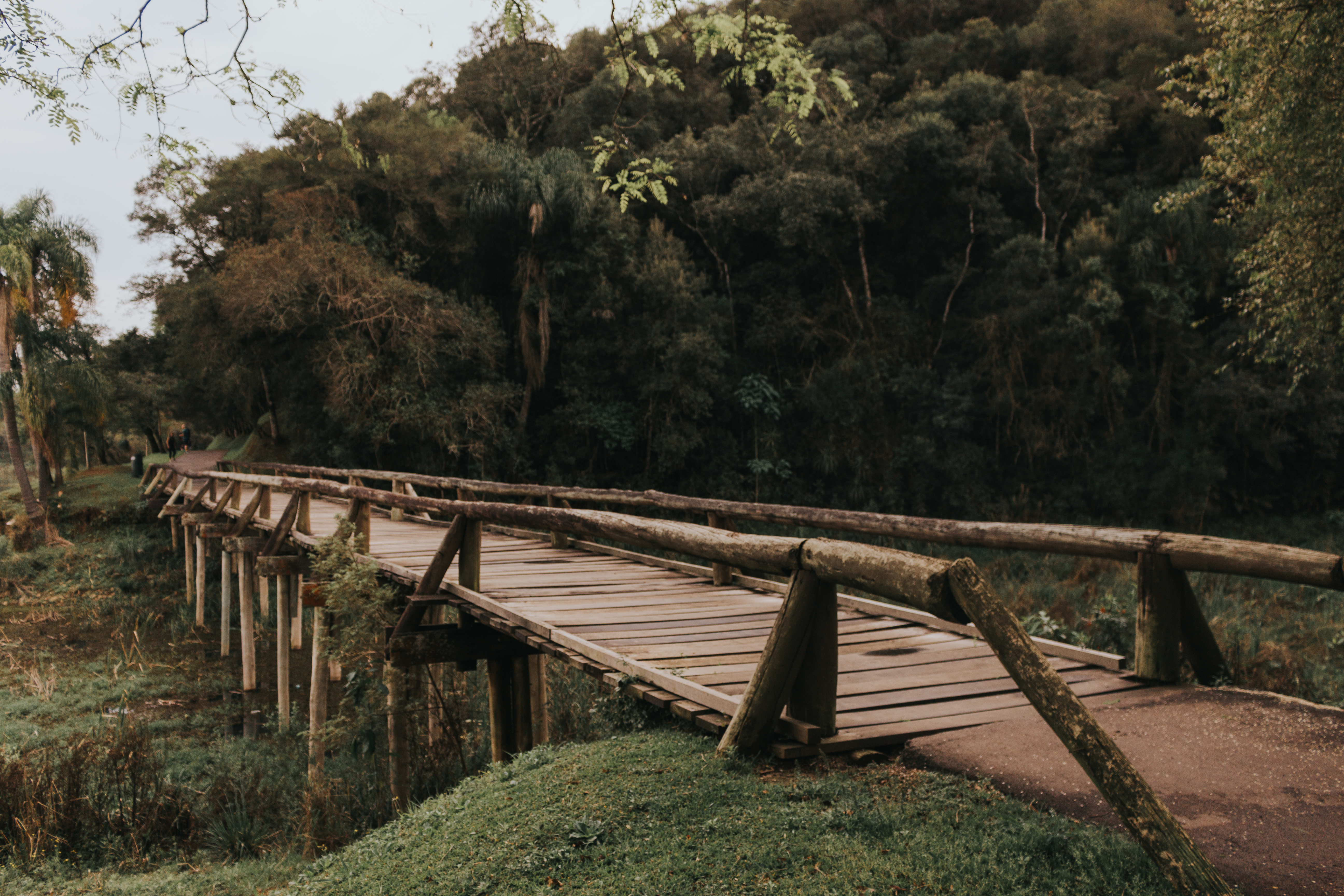 Contate Bre Porciuncula Fotografia | Curitiba, PR