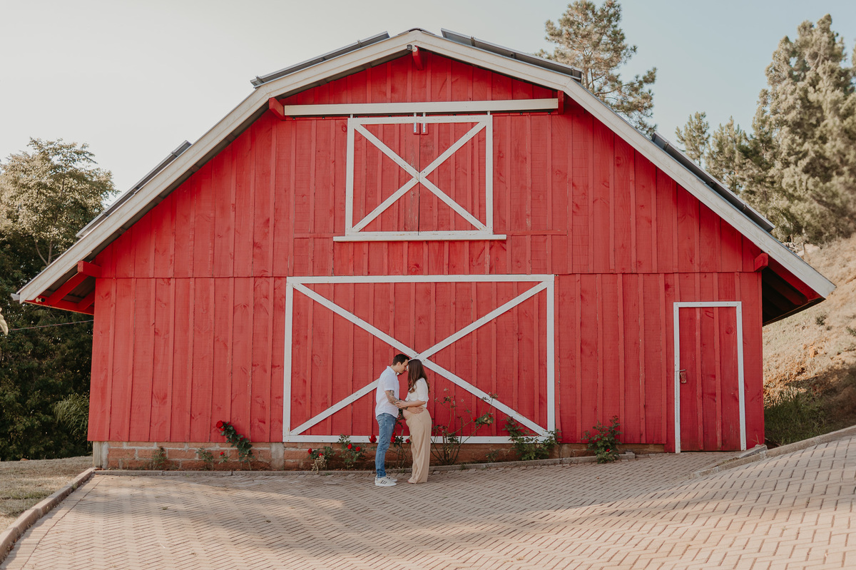 Ensaio-gestante-em-gramado
