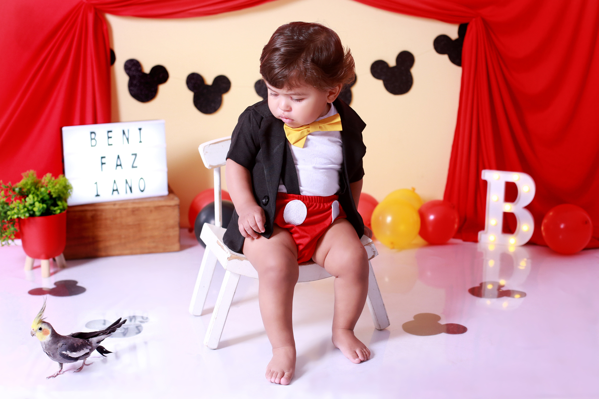 fotos de mesversario do Mickey