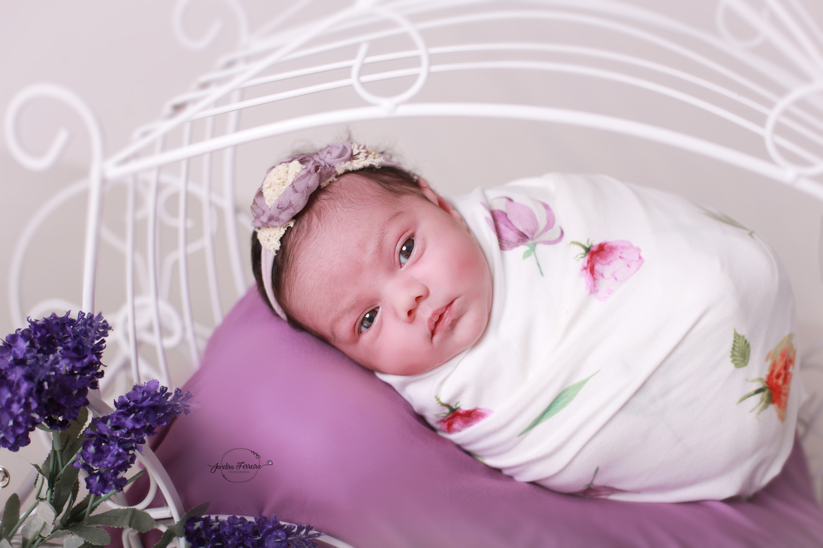 Ensaio de princesa, na carruagem.