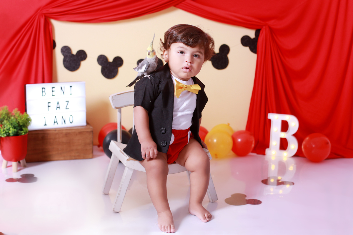 mesversario do Mickey