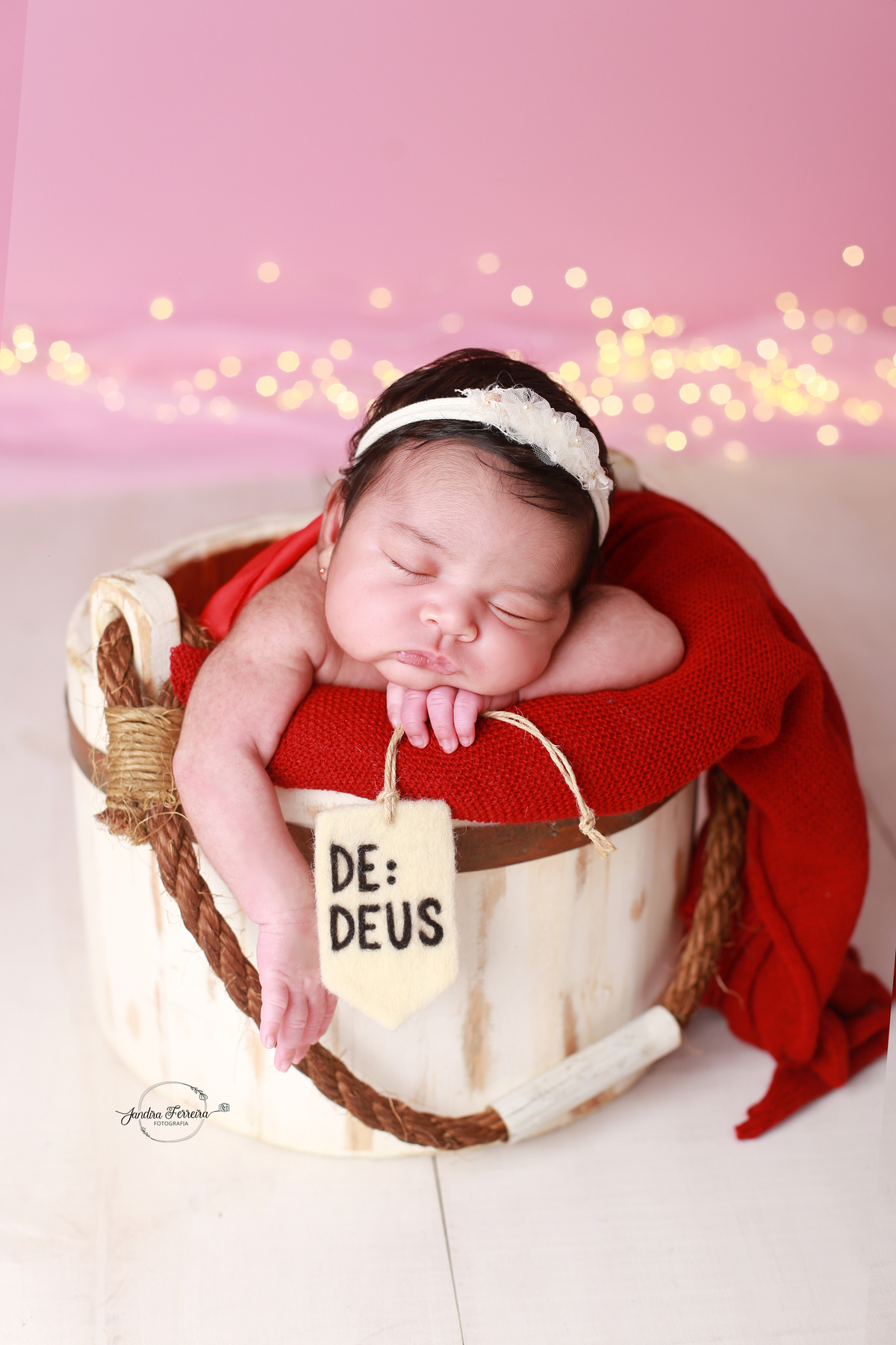 Newborn no Parque São Domingos em casa