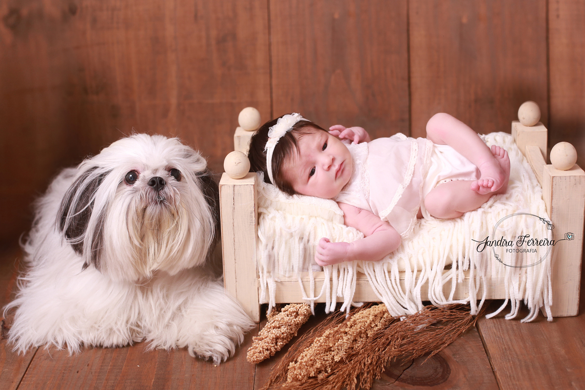 Newborn com pet
