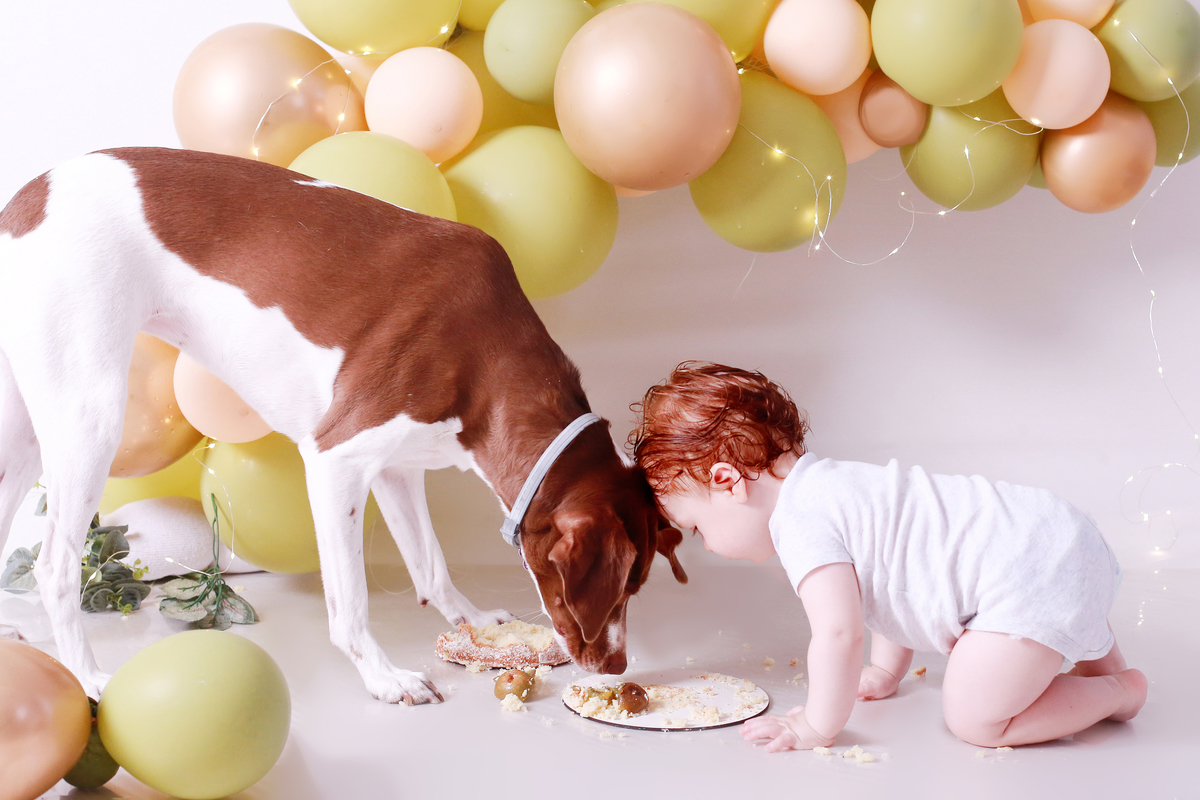 Estúdio fotográfico para bebês na zona oeste.
