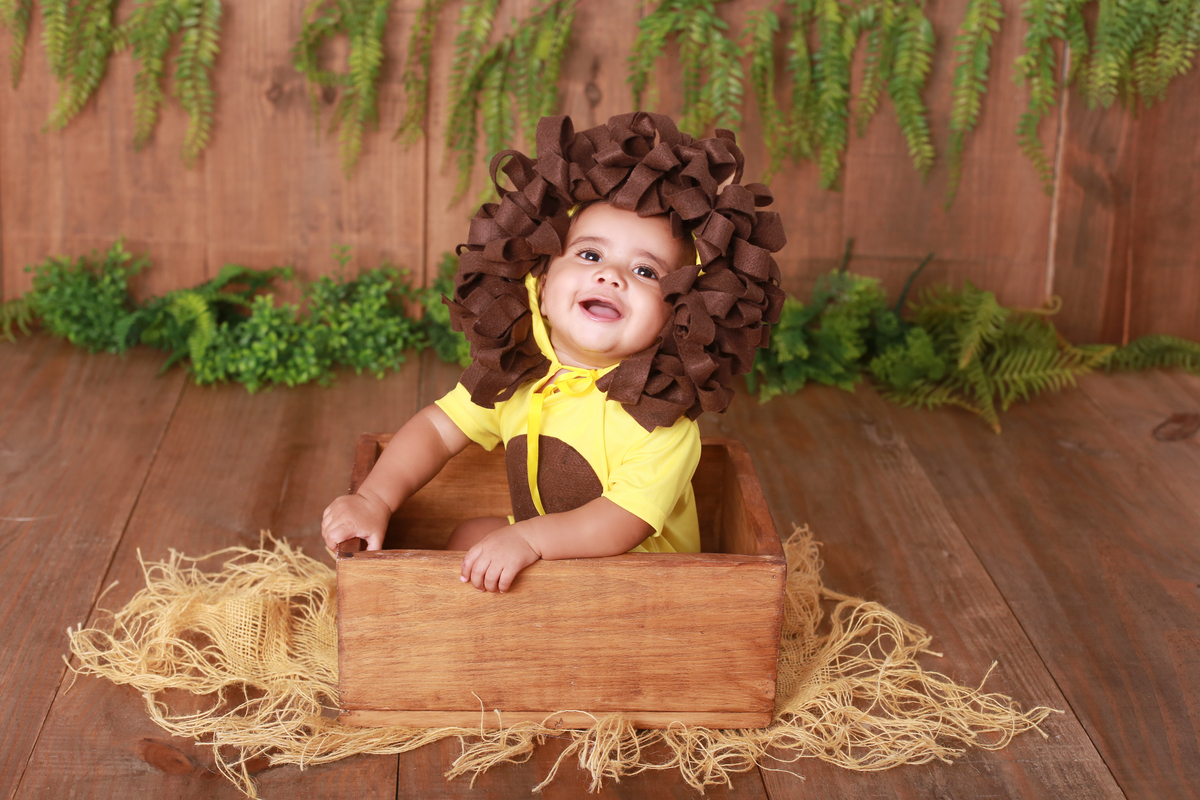 ensaio de Smash the Cake tema Leão