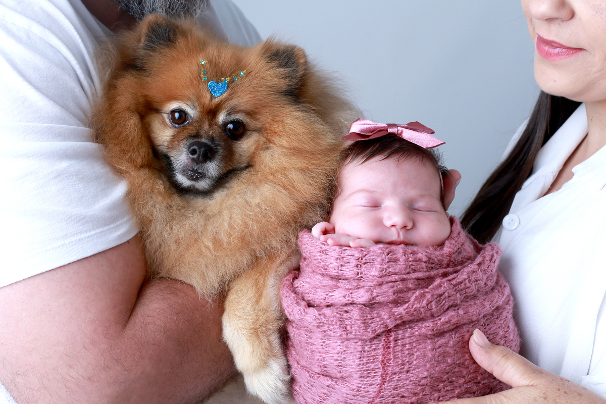fotografia newborn com cachorro
