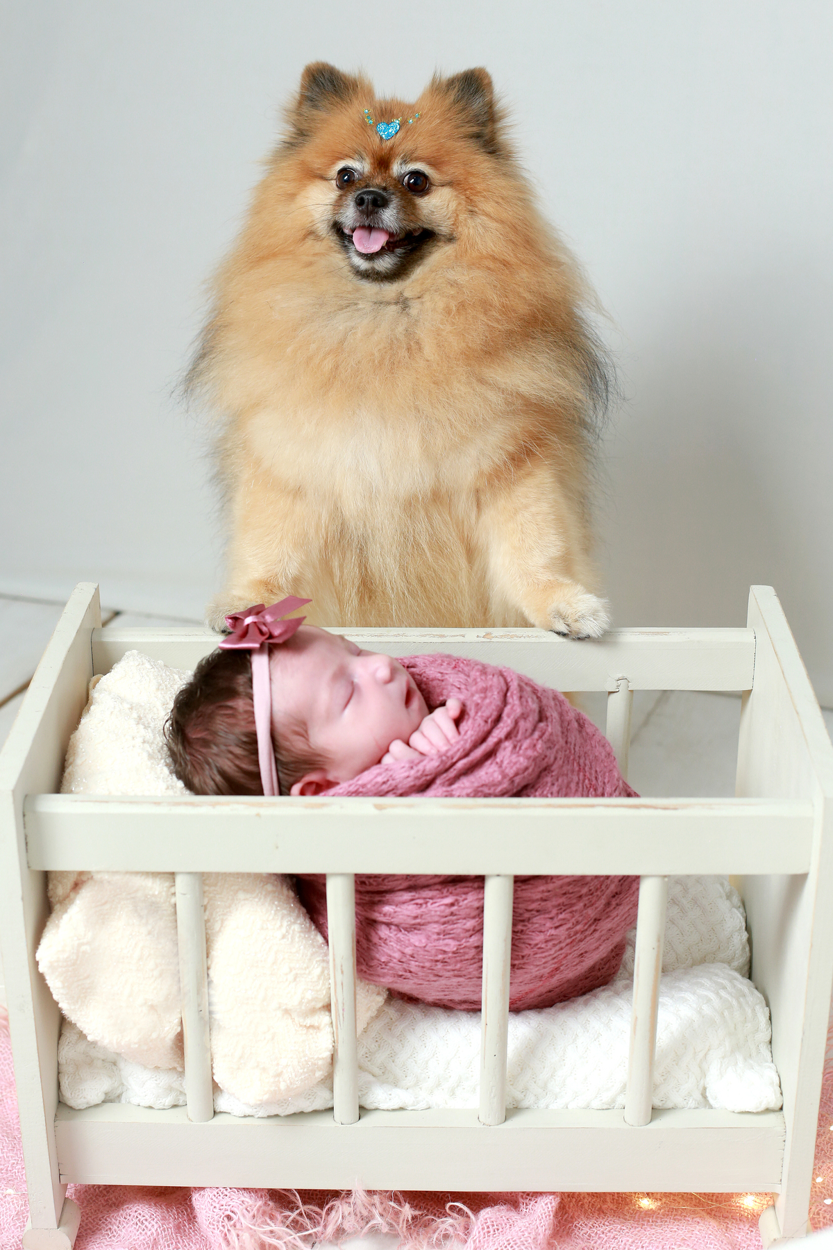 fotografia de bebê e cachorro